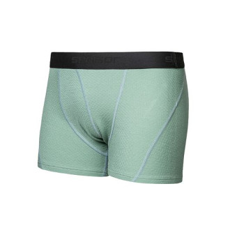 Pánské trenky SENSOR MERINO DF  basil green